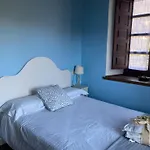 El Balcon De Muniellos